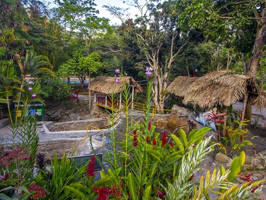 Avistamiento de aves exóticas