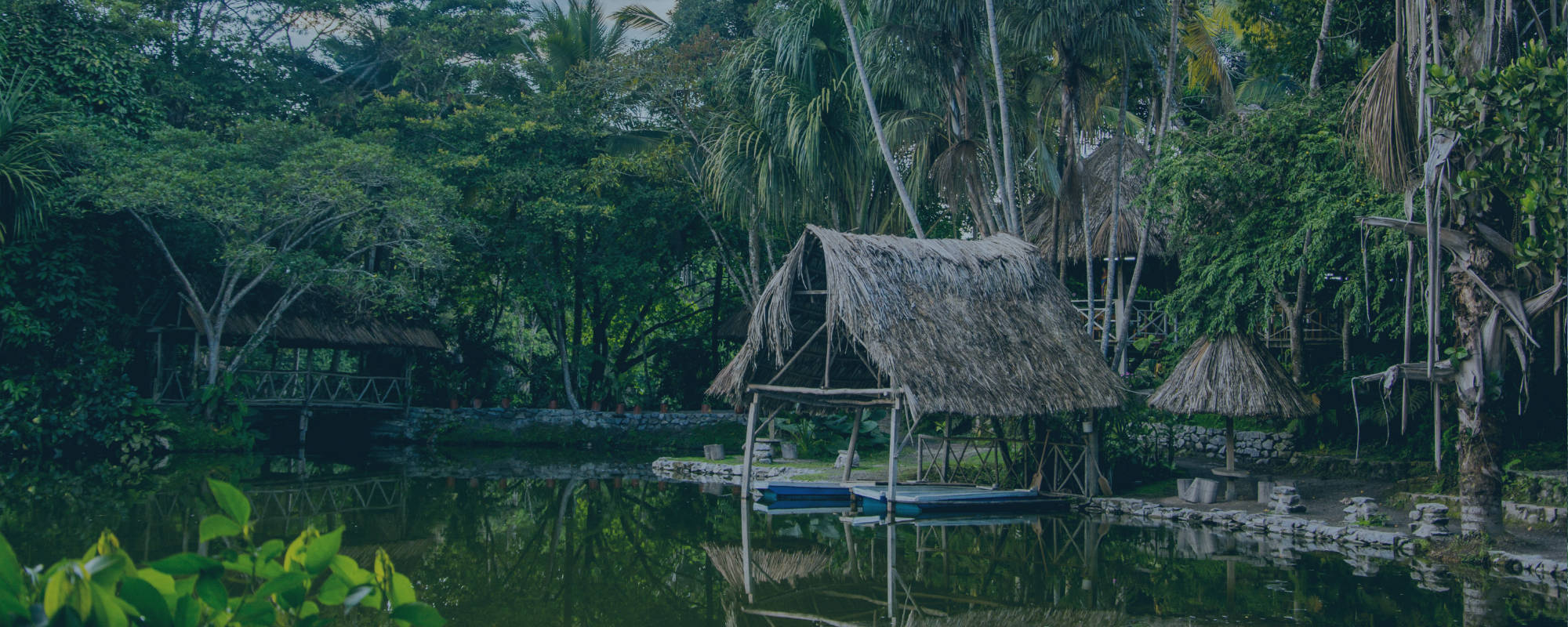 Paseo en lancha por el río Huallaga