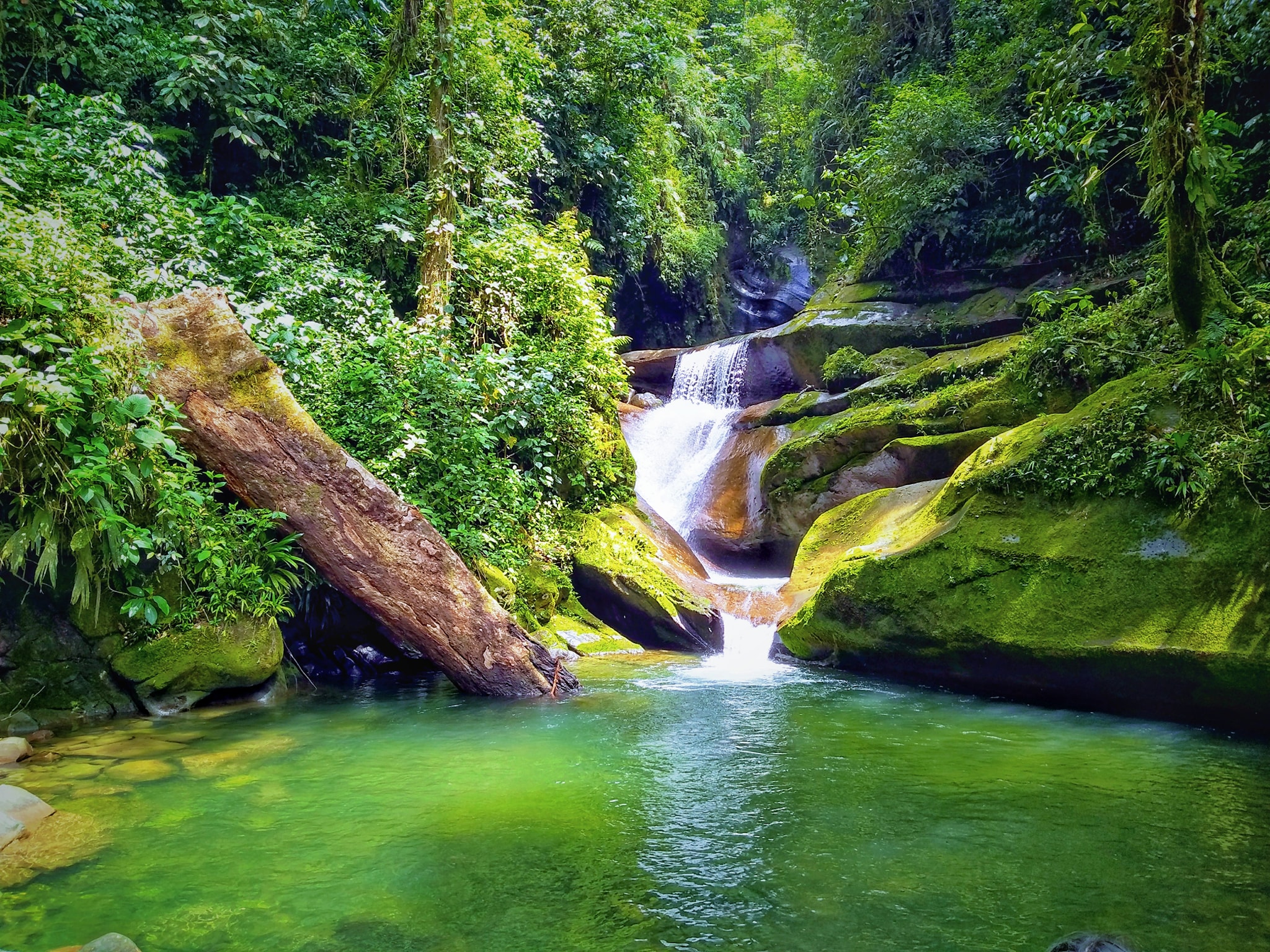 Piscina de los Reyes